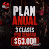 PLAN ANUAL TOP OCR  (12 cuotas de $53mil)